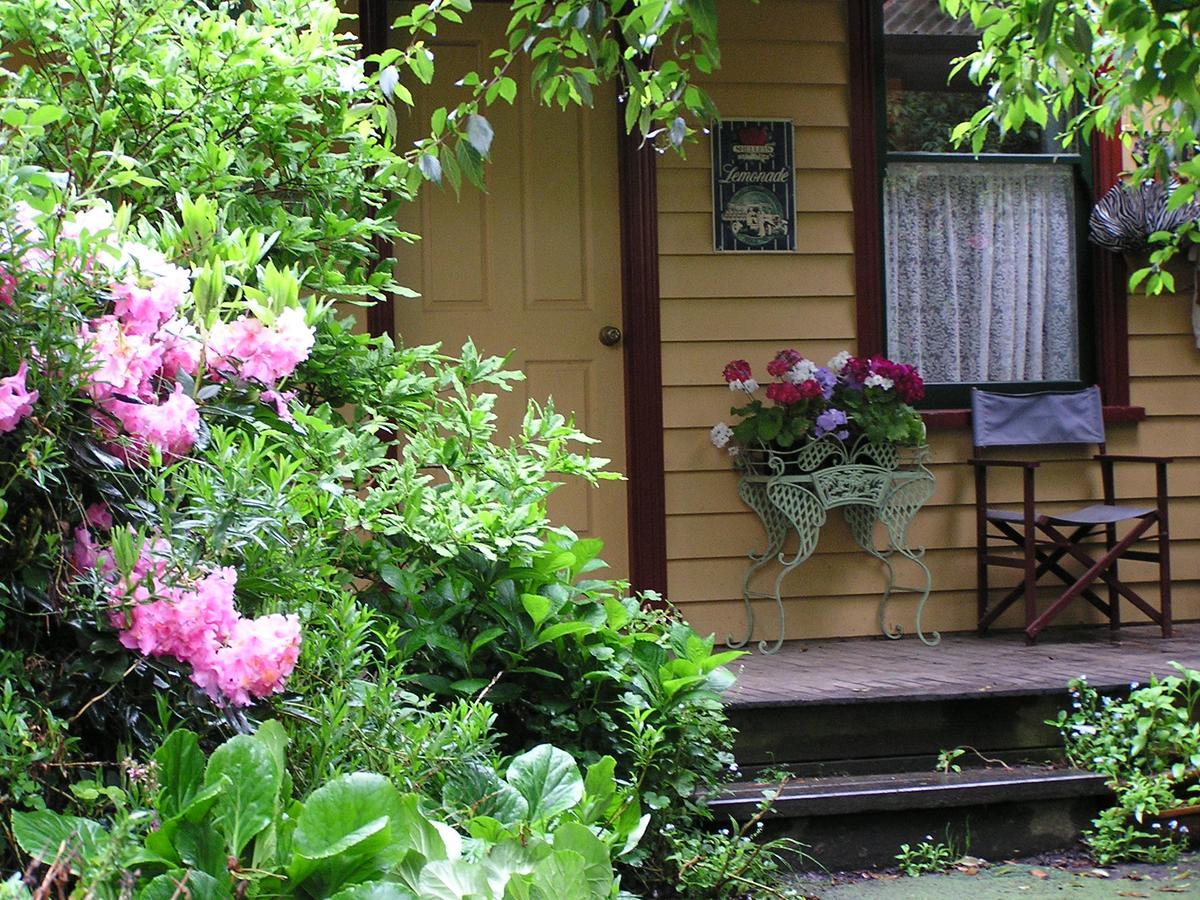 Lemonade Creek Cottages Lorne Exterior photo